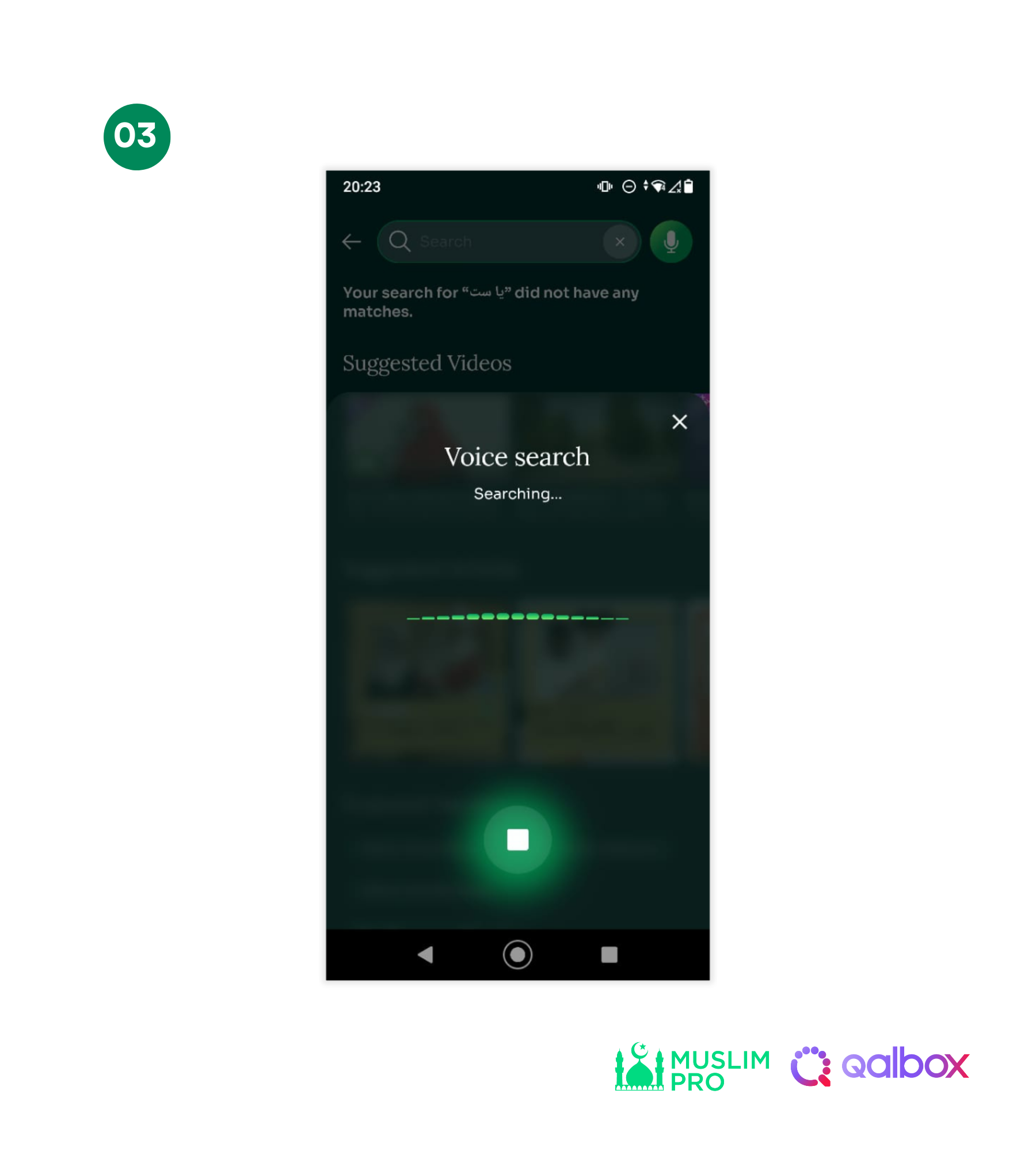 Using Voice Command (2).png