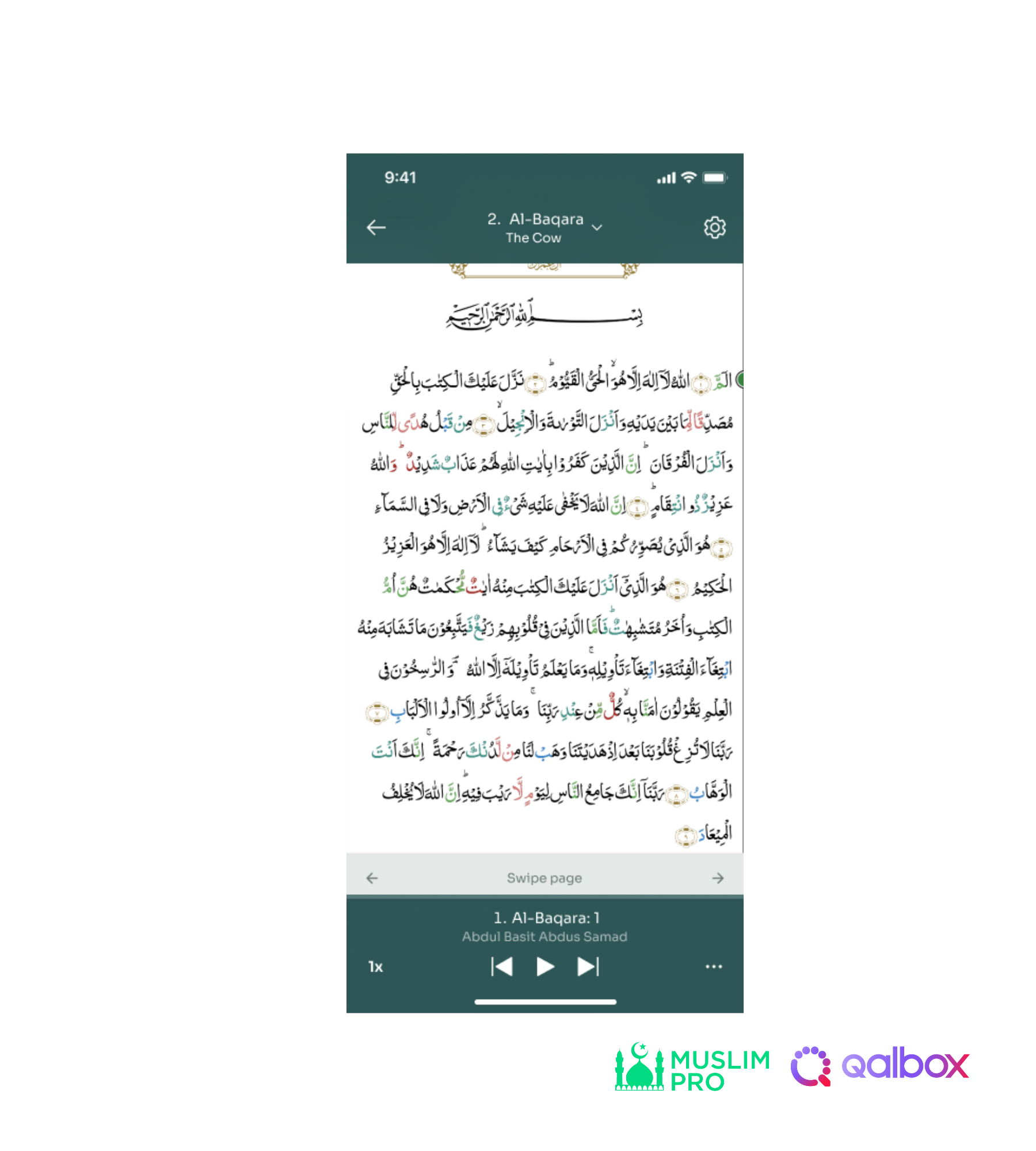 Untitled design (4).png