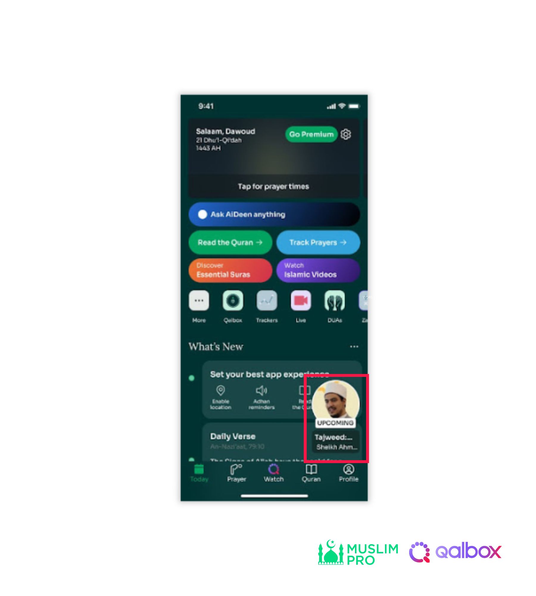 Live Stream (2).jpg