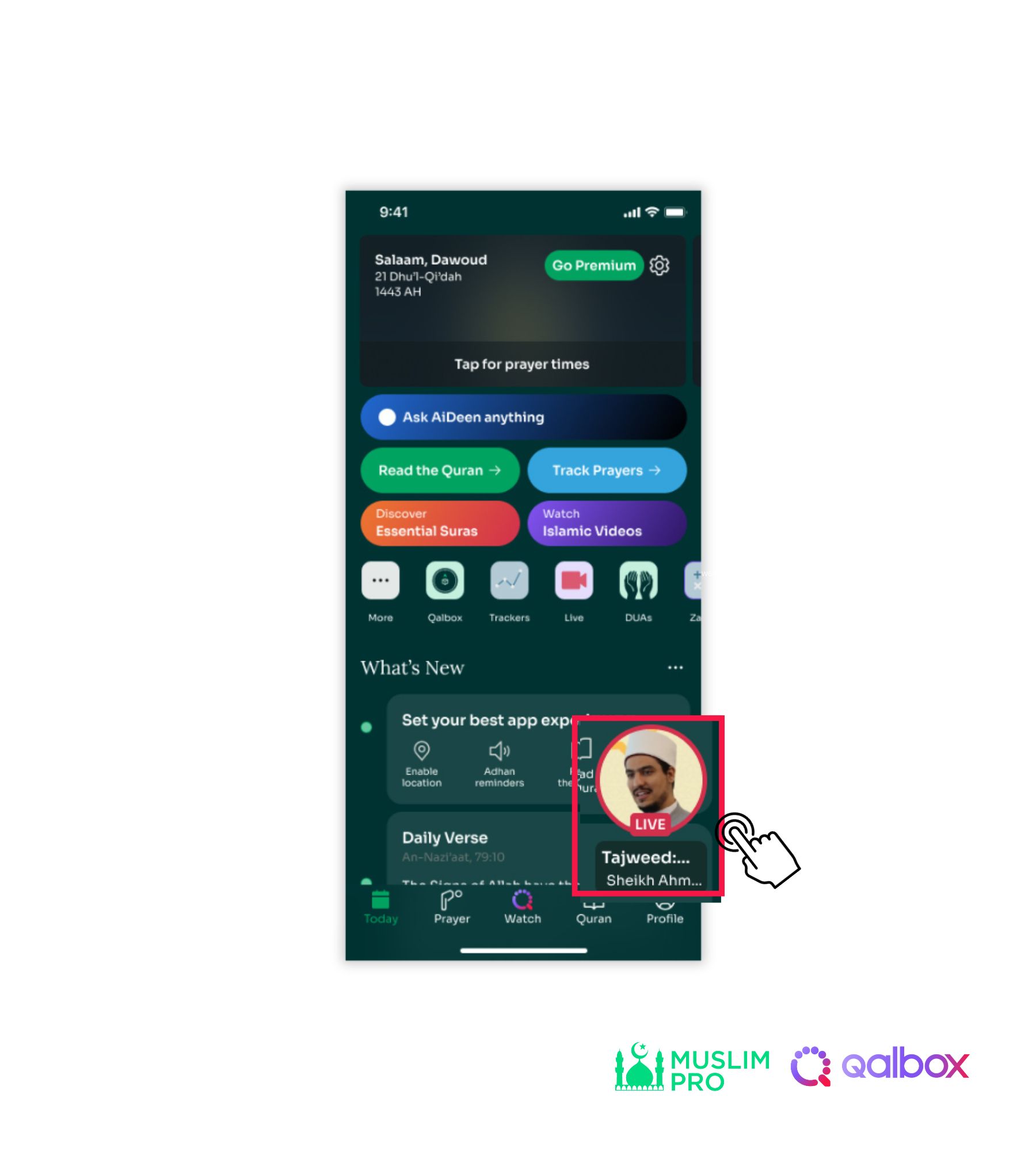 Live Stream (6).jpg