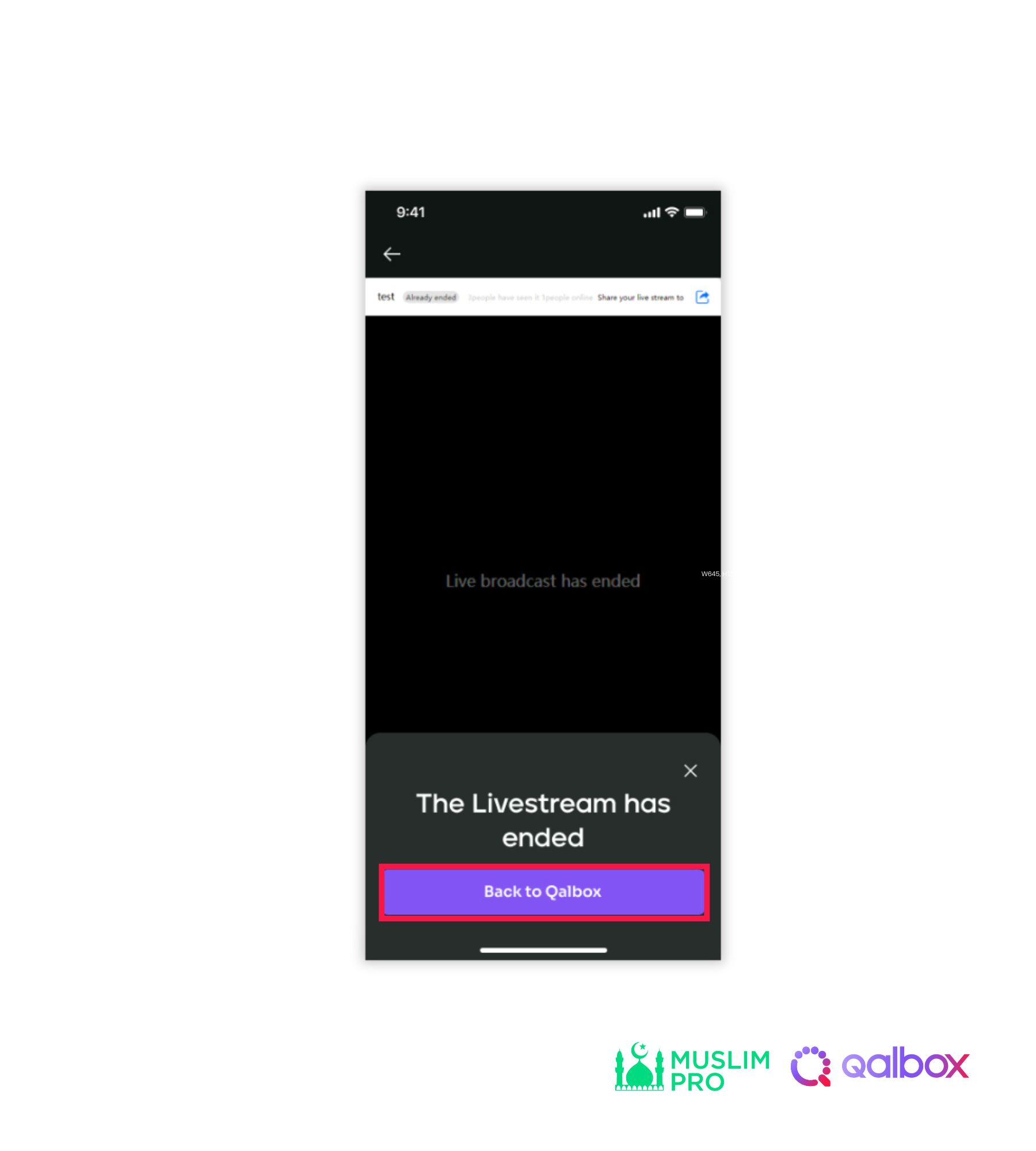 Live Stream (10).jpg
