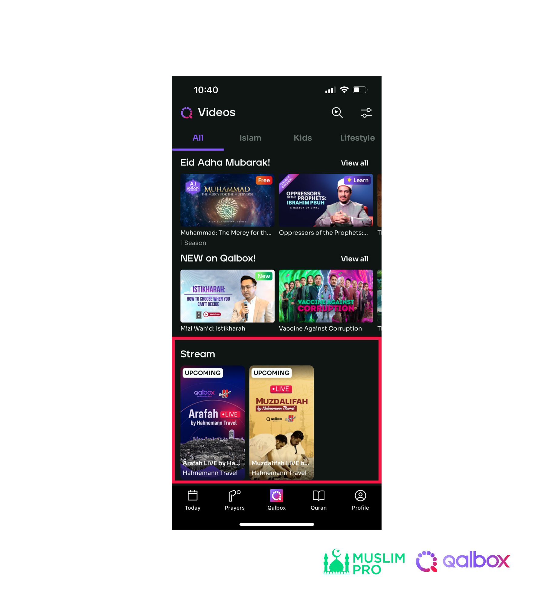 Live Stream (1).jpg