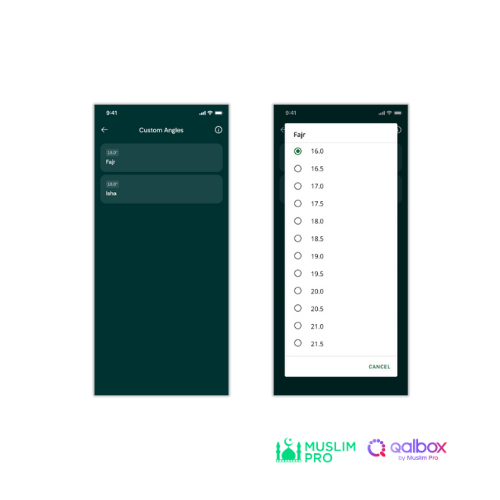 Adjust Manual Correction 3.png