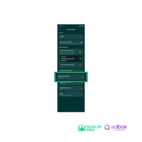 Adjust Manual Correction 2.jpg