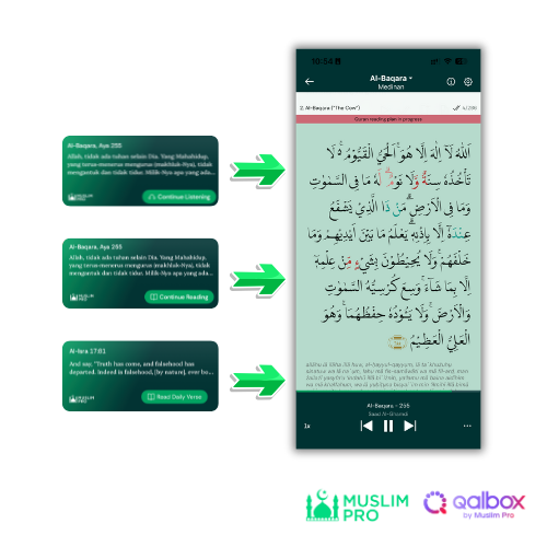 Homescreen Updated Widget - iOS - Quran.png