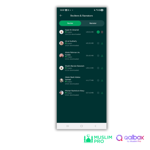 I have downloaded the recitations but nothing happens when I try to play them (Android only).png