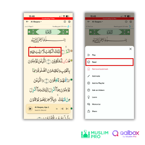 Quran - Read (3).png