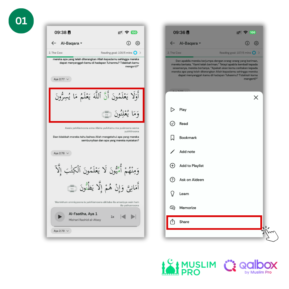How to activate the coloured Tajweed for Quran (2).png