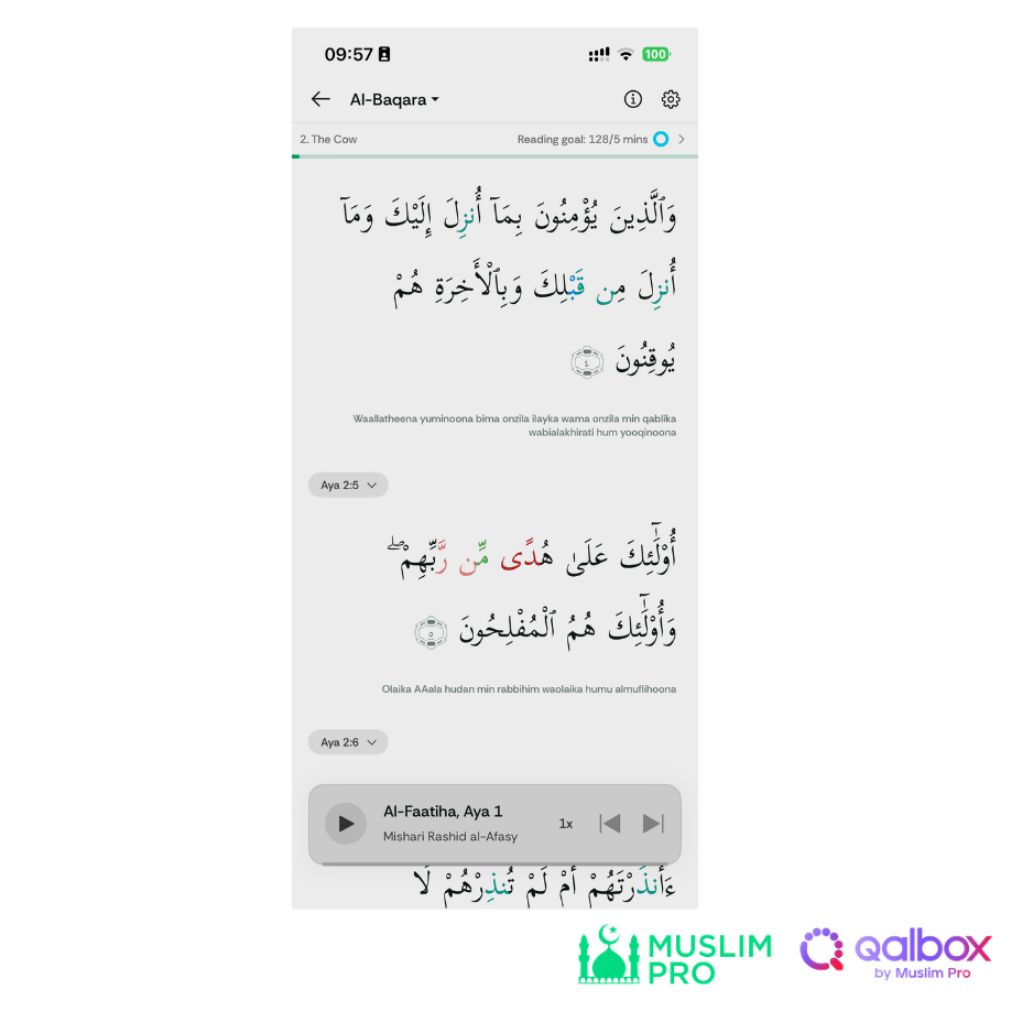 Why is my Quran translation missing (6).png