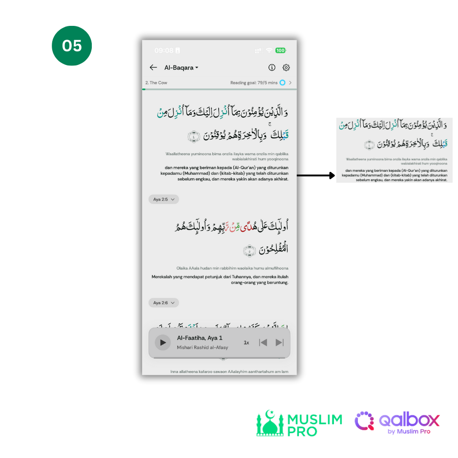 Why is my Quran translation missing.png