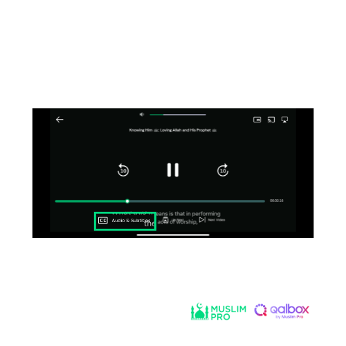 subtitles 1.png